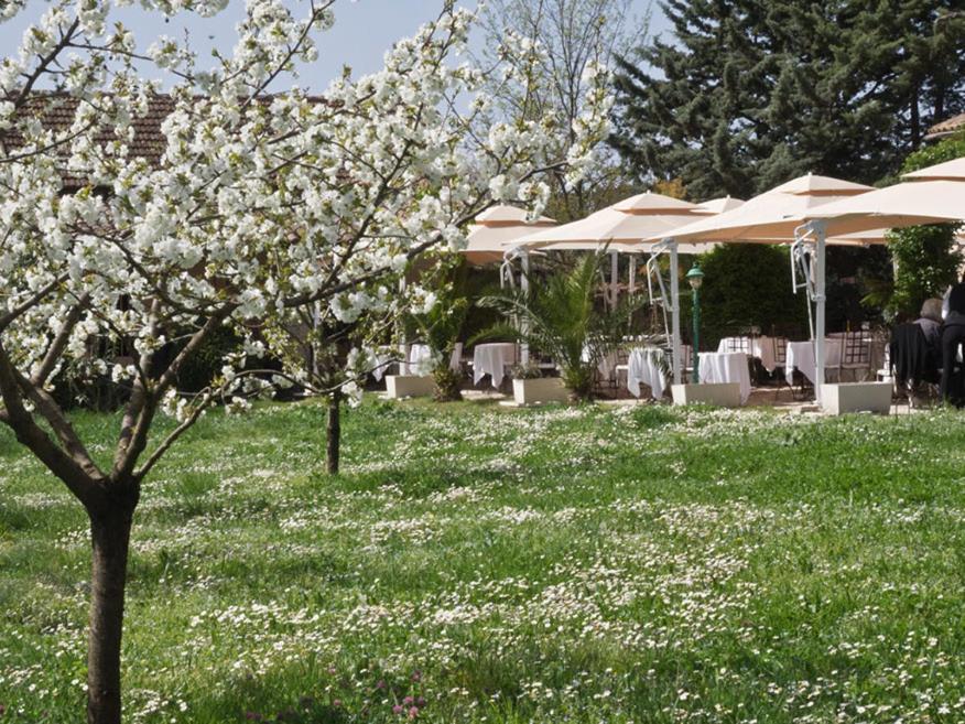 Hotel-Restaurant Le Moulin De La Camandoule Fayence Εξωτερικό φωτογραφία